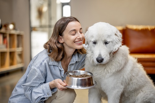 Croquettes médicalisées pour chien